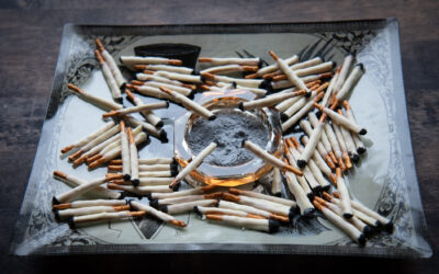 Edible Cigarettes